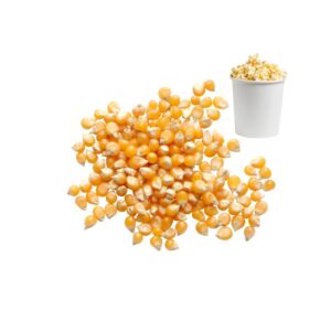 MAIS POP CORN A ECLATER